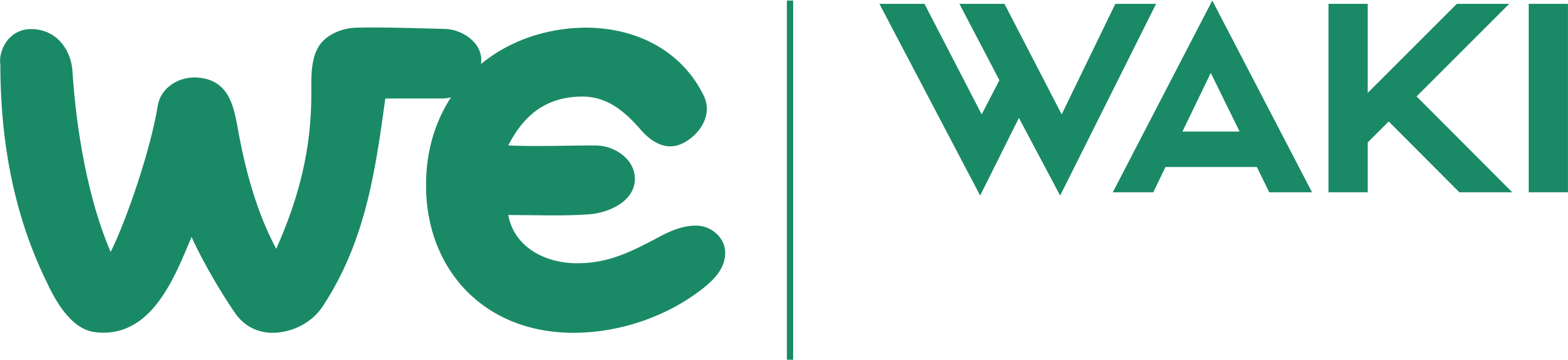 Waki Estudio